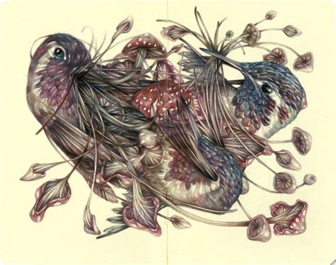 Detailed Colored Pencil Drawing Of Flora And Fauna By Marco Mazzoni R