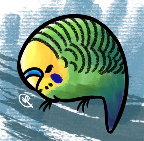 Budgie By Budgies On Deviantart