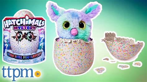 Hatchimals Mystery Whats Inside The Egg Spin Master Toys Youtube