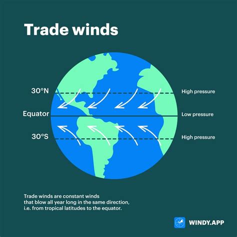 Trade Winds Windyapp