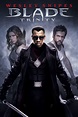 Blade: Trinity (2004) - Posters — The Movie Database (TMDb)