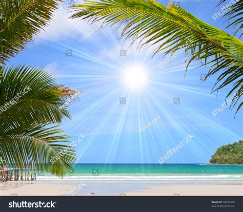 Tropical Beach Beautiful Palm Trees On Stock Photo