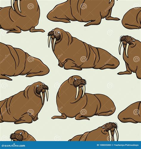 Hand Drawn Walruses Stock Vector Illustration Of Bulkiness 108835083