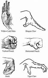 Open Palm Fighting Styles