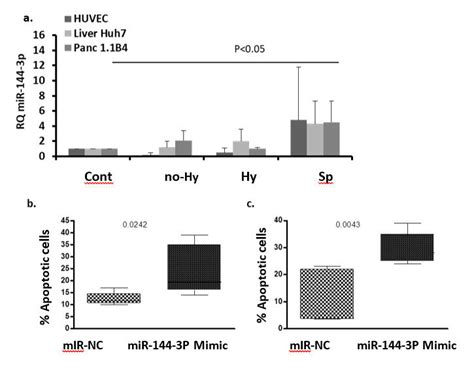 extracellular vesicle ev effects on cell hsa mir 144 3p expression download scientific