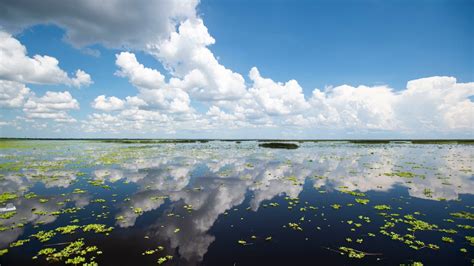 Lake Okeechobee Floridas Largest Freshwater Lake Sits At 135 Feet