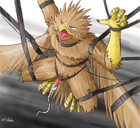 Rule 34 2007 Anthro Audie Gryph Avian Beak Bondage Bound Brown Feathers Claws Closed Eyes