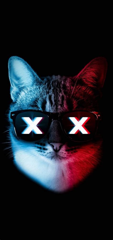 Los Mejores Fondos De Pantallas De Gatos Hacker Wallpaper Glitch