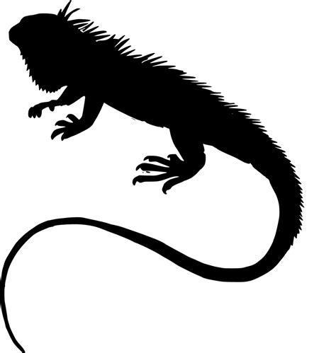 SVG > wild fauna reptilian lizard - Free SVG Image & Icon ...