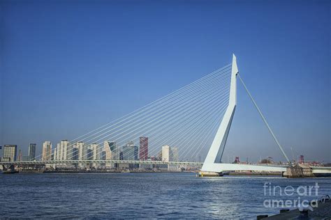 Modern Erasmus Bridge In Rotterdam The Netherlands Europe Photograph