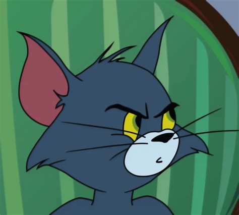 140 Tom Jerry Faces Ideas Tom And Jerry Tom And Jerry Cartoon Images