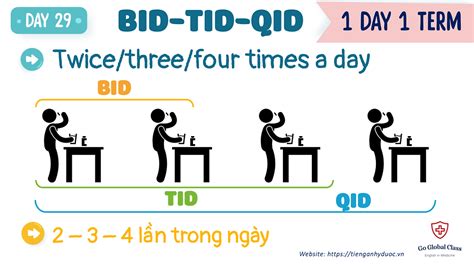 1 Day 1 Term Day 29 Bid Tid Qid