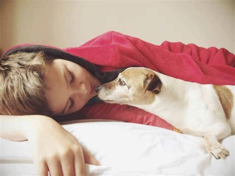 Why Sleeping With Pets Improves Sleep Patterns