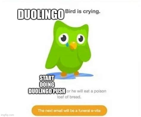 Duolingo Bird Imgflip