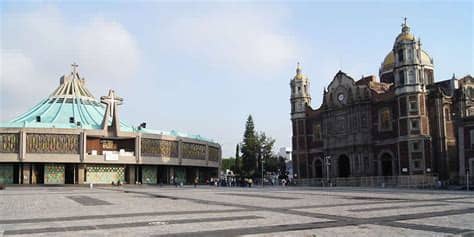 I wish that a temple be erected here quickly, so i may location: The Basilica of Our Lady of Guadalupe