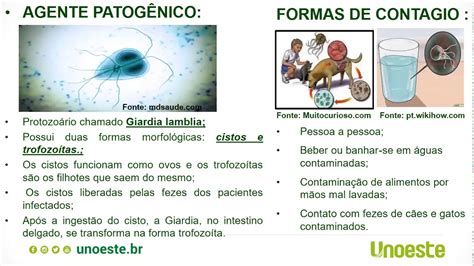 Você Conhece Outras Doenças Transmitidas Por Meio Da água Contaminada