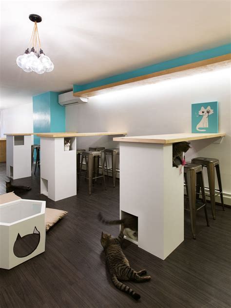 Koneko cat cafe in nyc | this cat cafe in new york city is full of adoptable cats! Meow Parlour - Modern Cafe For NYC's Adoptable Cats | Cat ...