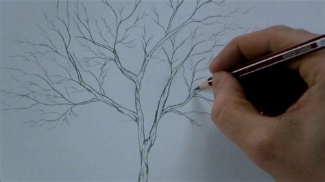 How To Draw A Tree Step By Step For Beginners In 8 Minutes YouTube