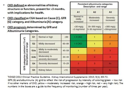 Kdigo Ckd Tracking Support