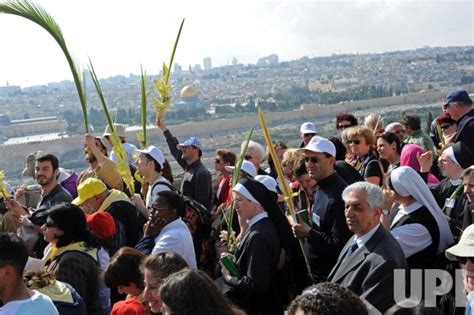 Photo Christian Pilgrims Carry Palm And Olive Branches On The Mount Of