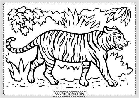 Tigre Para Colorear Dibujo Rincon Dibujos
