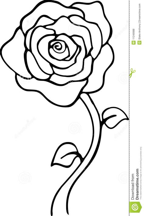 Oder welche rosen bilder schwarz weiss aktuell am besten bzw. Rose Schwarzweiss vektor abbildung. Illustration von schwarzweiss - 11249988