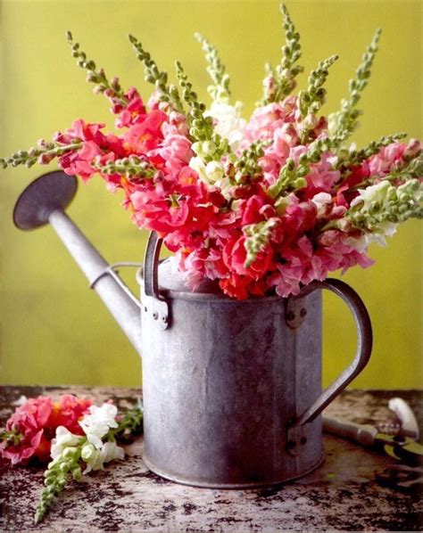 Pin By 🌹🌺 Lizzbluv 🌸🌻 On Beautiful Flowers Watering Can Centerpieces