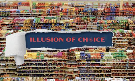 The Illusion Of Choice American Economic Liberties Project