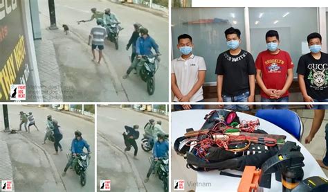 Vietnam Dog Thief Gang Steal 1200 Dogs Fight Dog Meat