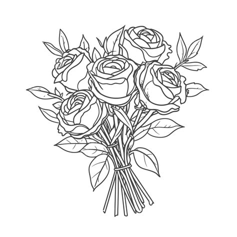 رسم باقة من الورود تلوين الصفحة مخطط المتجه رسم وردة رسم الورود رسم