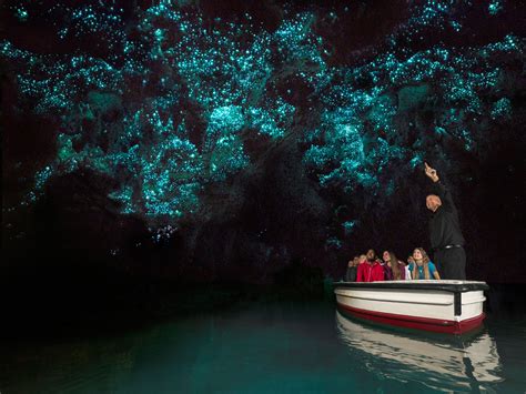 Waitomo Glowworm Caves Tour Tauranga
