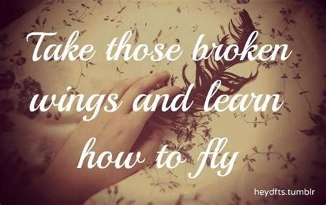 Learn to fly has been found in 401 phrases from 325 titles. WINGS QUOTES image quotes at relatably.com