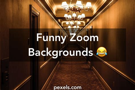 12 Hilarious Zoom Virtual Backgrounds Pics Alade