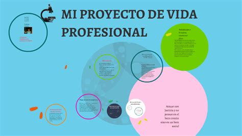 Mi Proyecto De Vida Profesional By Mirle Knchila