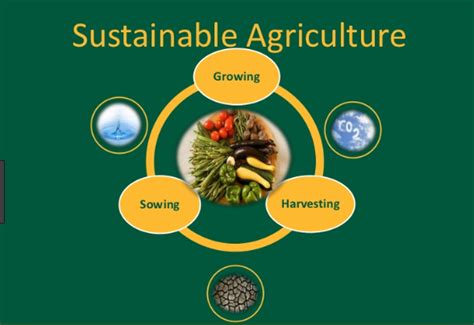 Sustainable Agriculture And Criteria Of Sustainable Agriculture Basic