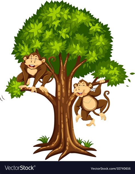 Two Monkeys On The Tree Royalty Free Vector Image