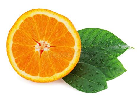 Fresh Orange Fruit With Green Leaves Isolated On White Stock Image