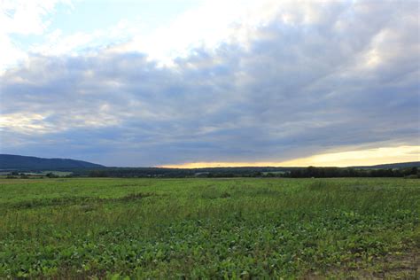 View Over Green Fields In Harz Area Cc0photo