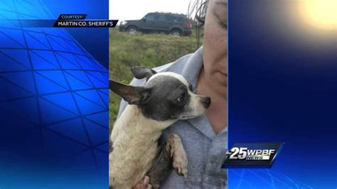 Puppies Found Dumped On Side Of Martin County Road Youtube