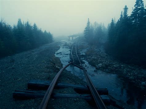 Railway Abandoned Mist Forest Walldevil