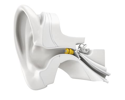 Lyric Hearing Aids St Louis Associated Hearing Professionals