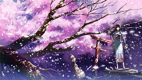 Anime Cherry Blossom Cherry Blossom Drawing Cherry Blossom Background