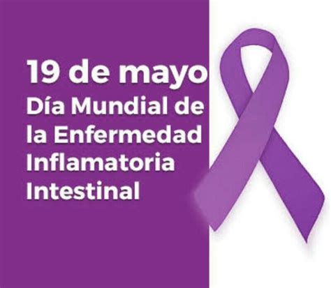 día mundial de la enfermedad inflamatoria intestinal Brainly lat