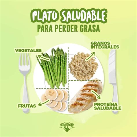 Así Se Debe Ver Tu Plato Ideal Si Quieres Perder Grasa Llena A Menos