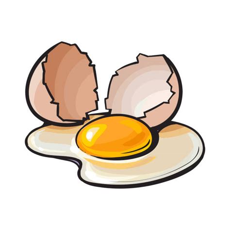 Royalty Free Broken Egg Shell Drawings Clip Art Vector Images