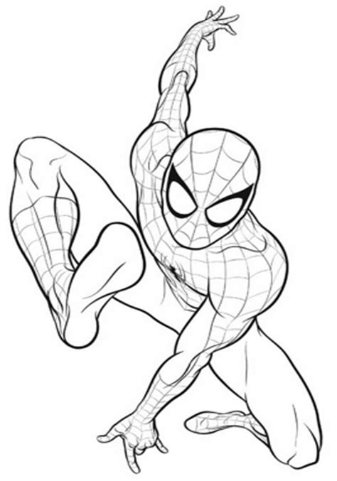 Mewarnai Gambar Kartun Spiderman Hitam Putih Aneka Gambar Gambar