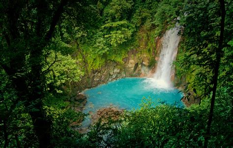 Parque Nacional Volcán Tenorio Travel Costa Rica Lonely Planet