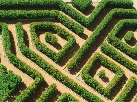 What Is A Walking Labyrinth Health Enews