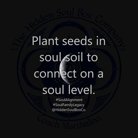 Plant Seeds In Soul Soil To Connect On A Soul Level In 2021 Box