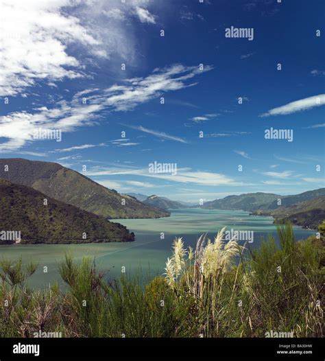 View Of Queen Charlotte Sound South Island New Zealand Stock Photo